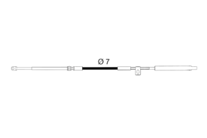 C36